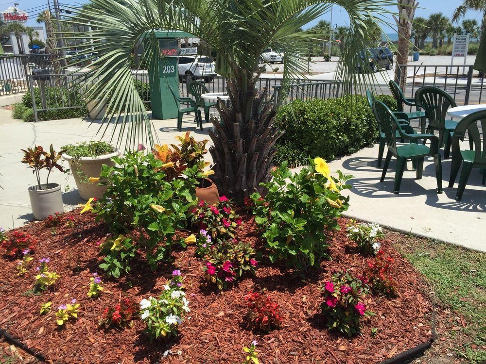 Darlington Inn Myrtle Beach Ngoại thất bức ảnh